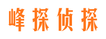 陆河私家侦探公司